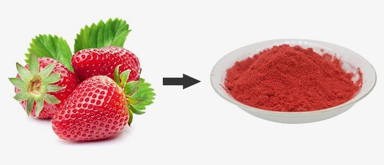 Freeze Dried Strawberry Powder 1