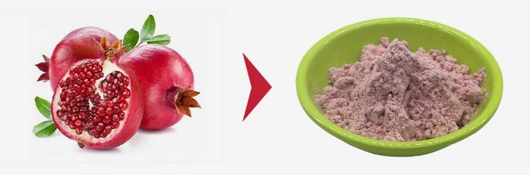 SDpomegranatejuicepowder2