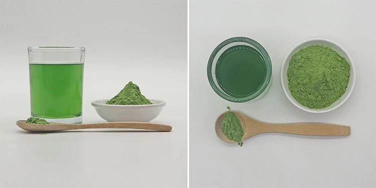 Wheat Grass Juice Powder (2)