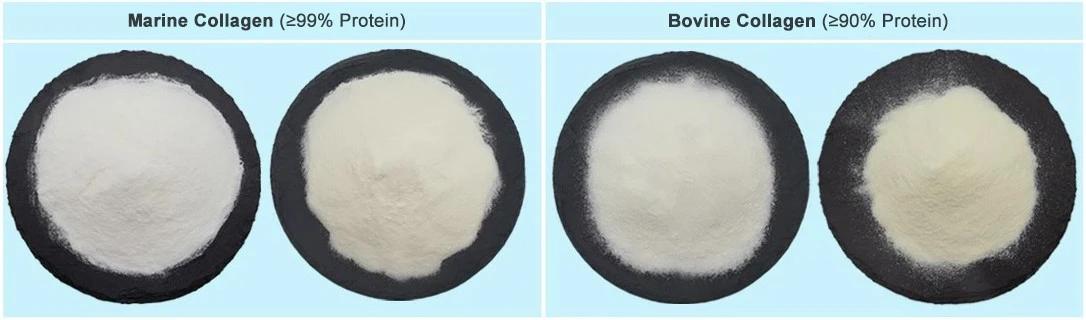 Collagen Powder1