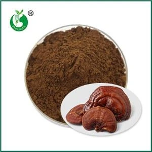 Efekti i kontraindikacije Ganoderma Spore Powder
