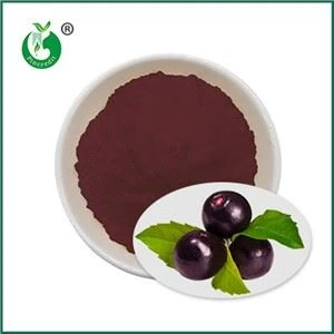 Acai bobičast sok u prahu