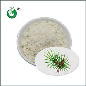 Puder od ekstrakta pile Palmetto