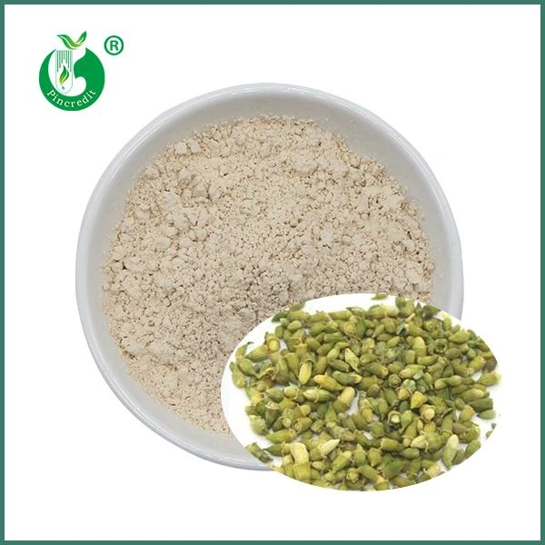 Genistein Powder