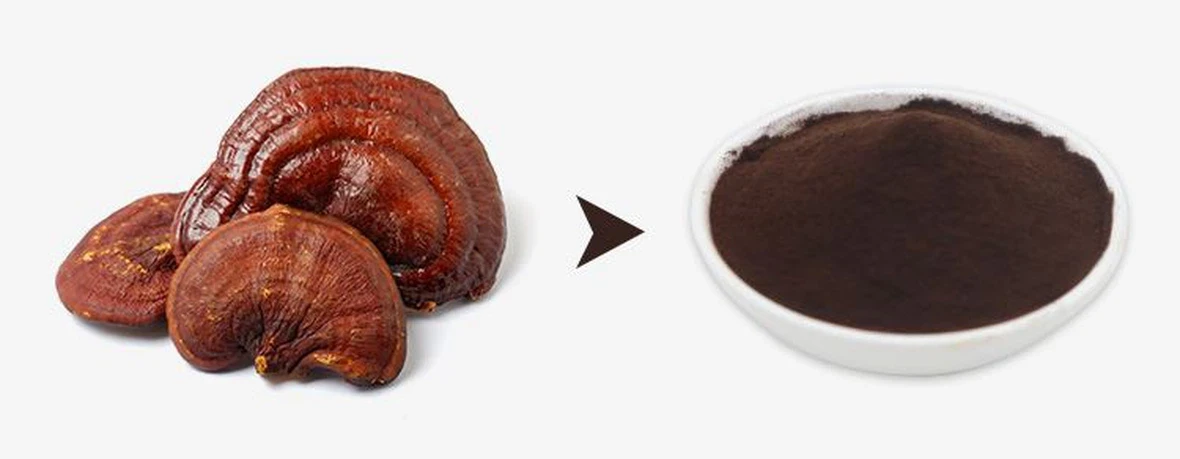 Reishi Spore Powderjpg