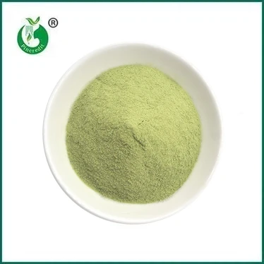 NOVI DOLAZAK: Matcha Latte u prahu