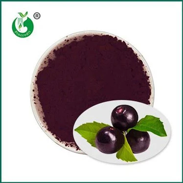 Da li je Pure Acai dobar za vas?
