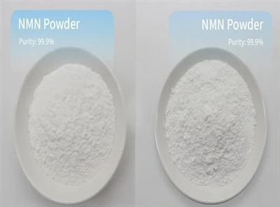 Da li je NMN Powder zabranjen?