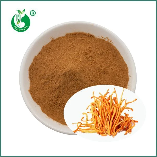 Ekstrakt organske gljive Cordyceps Militaris